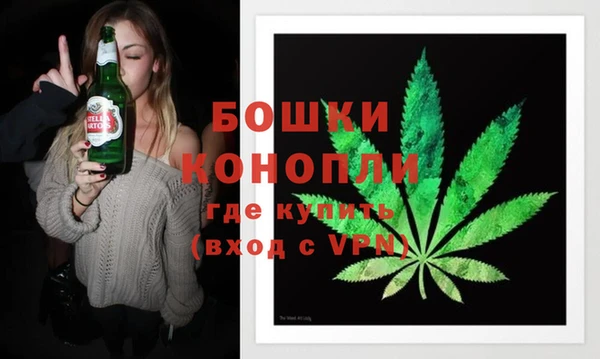 винт Пересвет