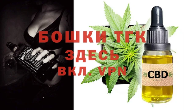 винт Пересвет