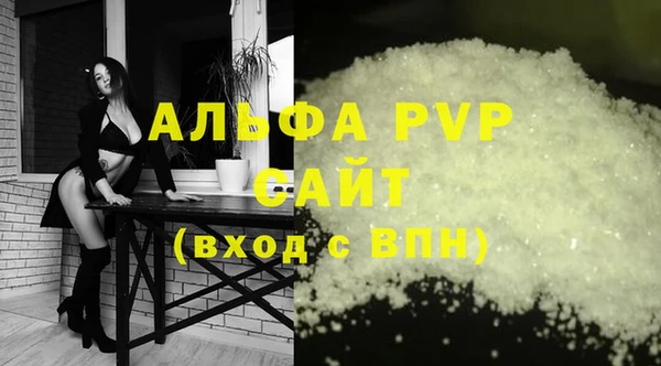 винт Пересвет