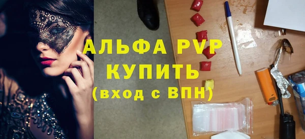 винт Пересвет