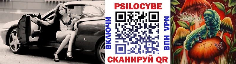 Псилоцибиновые грибы прущие грибы  где продают   Фрязино 